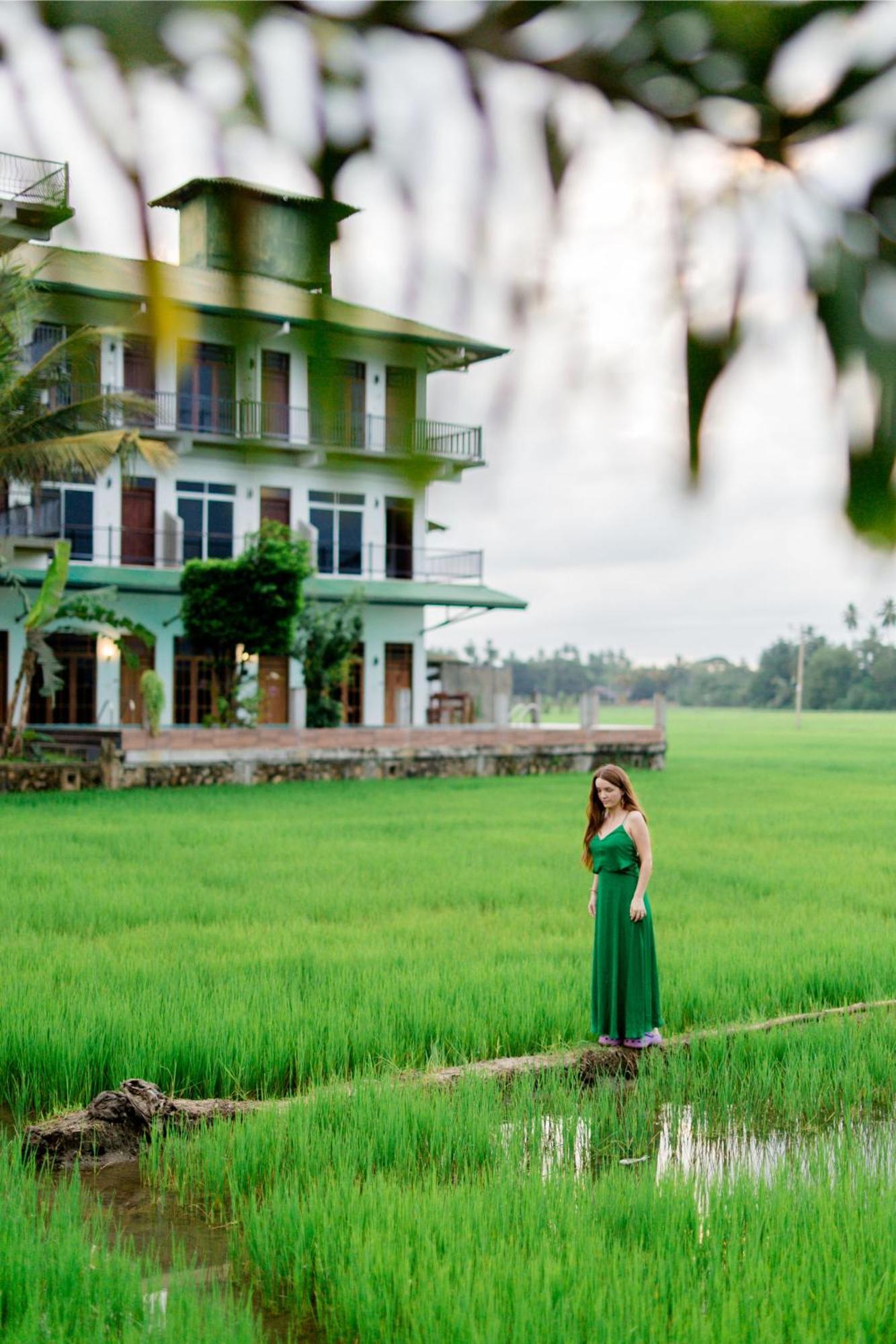 Serene Park Hotel By Ark Tissamaharama Exteriör bild